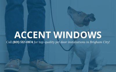 High-Quality Pet Door Installations for Homes in Brigham City, Utah