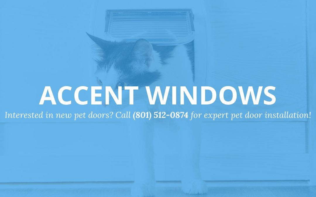 Pet-Friendly Homes: Top-Quality Pet Door Installations in Ogden, Utah